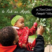 How to Pick an Apple in Nova Scotia's Annapolis Valley