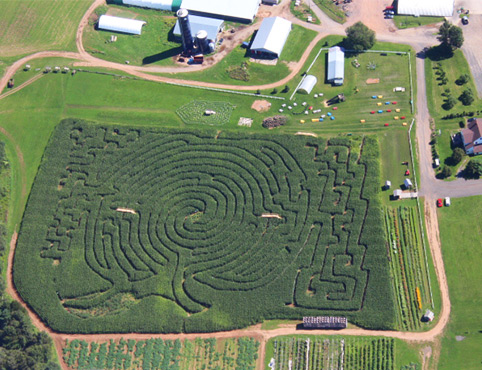 Noggins Corn Maze 2014