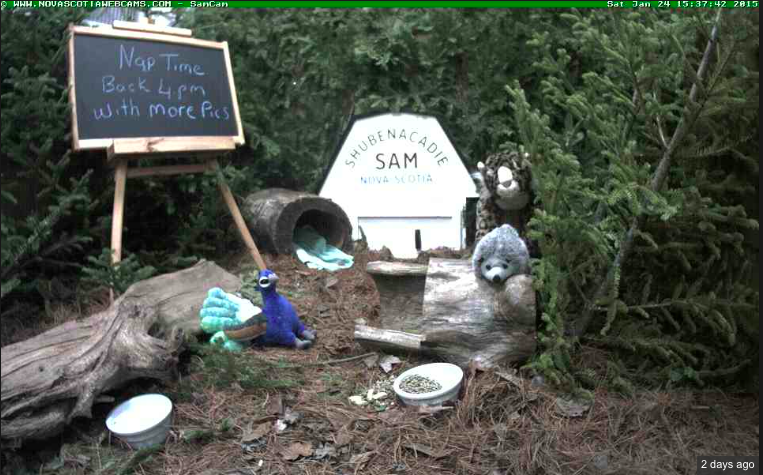 Shubenacadie Sam