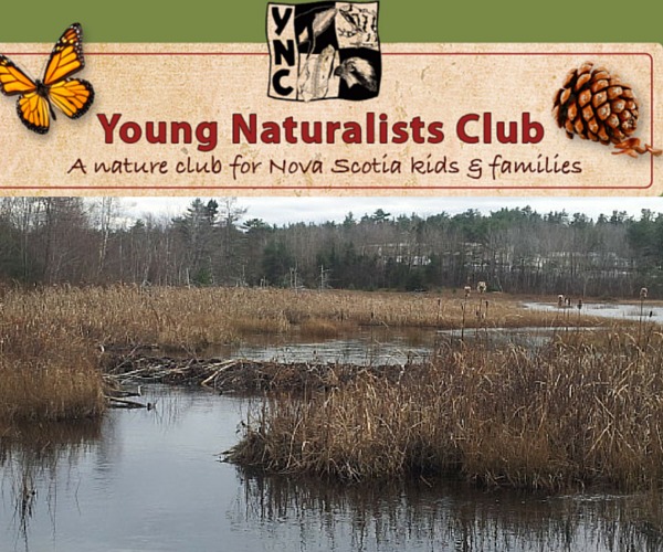 Young Naturalists Club Halifax