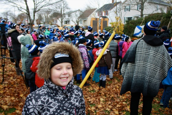 Nova Scotia Tree for Boston