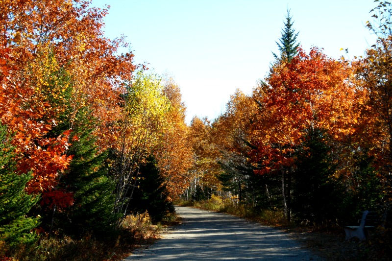 Colores del sendero de la bahía de St Margaret