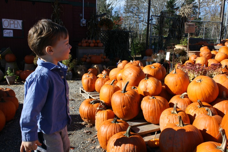 St Margaret's Bay Trail farm market