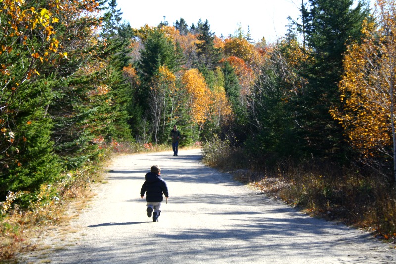 St Margaret's Bay Trail tout-petit en cours d'exécution