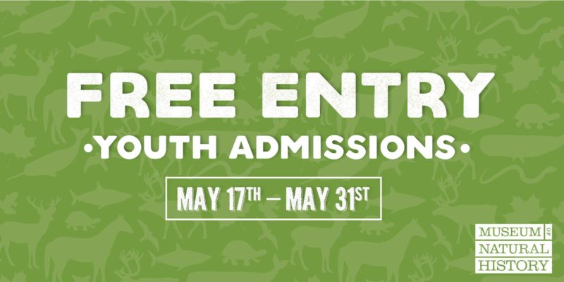 Free admission at the Museum of Natural History