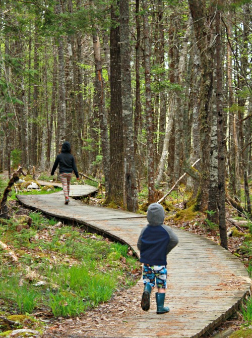 Wandern Sie entlang des Slapfoot Trail nach Jake's Landing