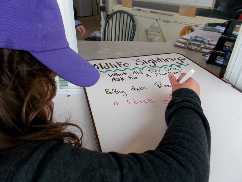 The Wildlife Sightings Board at Keji Outfitters, where we reported seeing... a stick