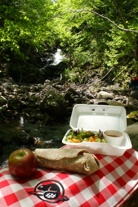 The Perfect Picnic lunch