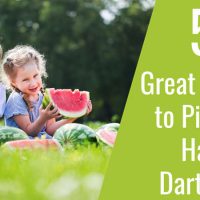 5 Große Plätze zum Picknick in Halifax-Dartmouth