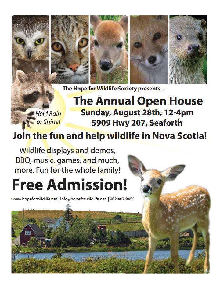 Hope For Wildlife Open House Family Fun Halifax