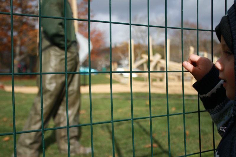 Dingle fence 