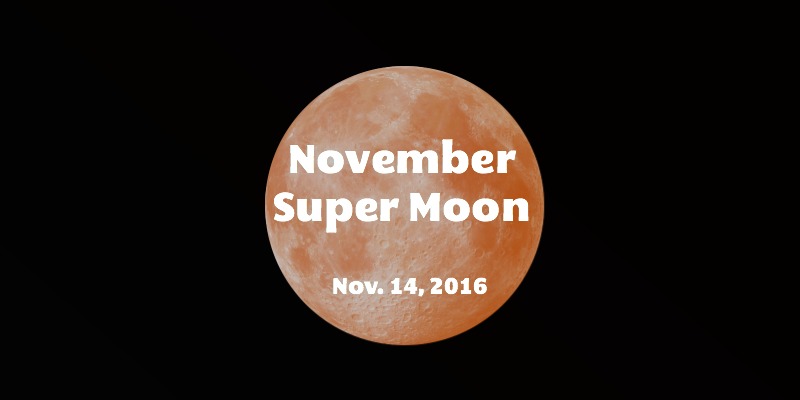 November Super Moon 