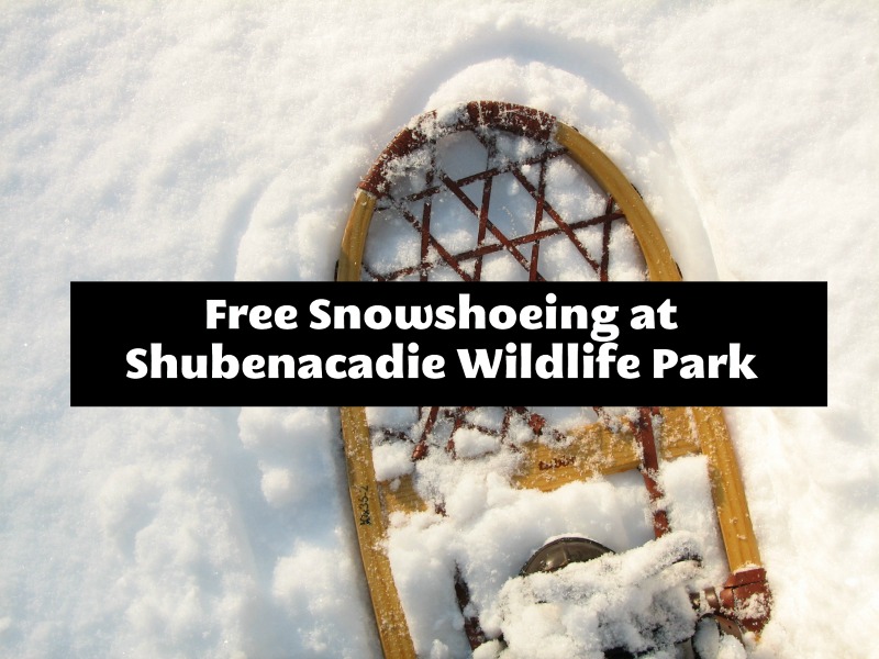 Shubenacadie 野生動物園的免費雪鞋健行