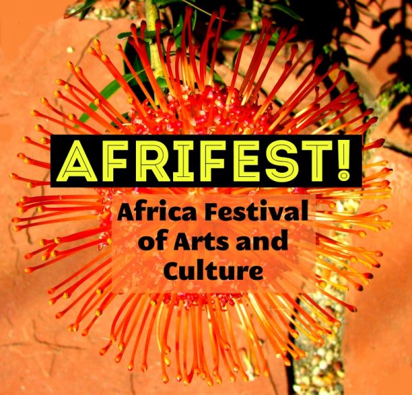 افریقی فیسٹیول آف آرٹس اینڈ کلچر