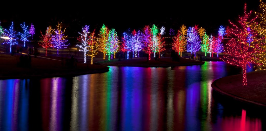 Luces de árbol