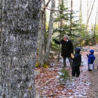 Ross Farm Maple Syrup