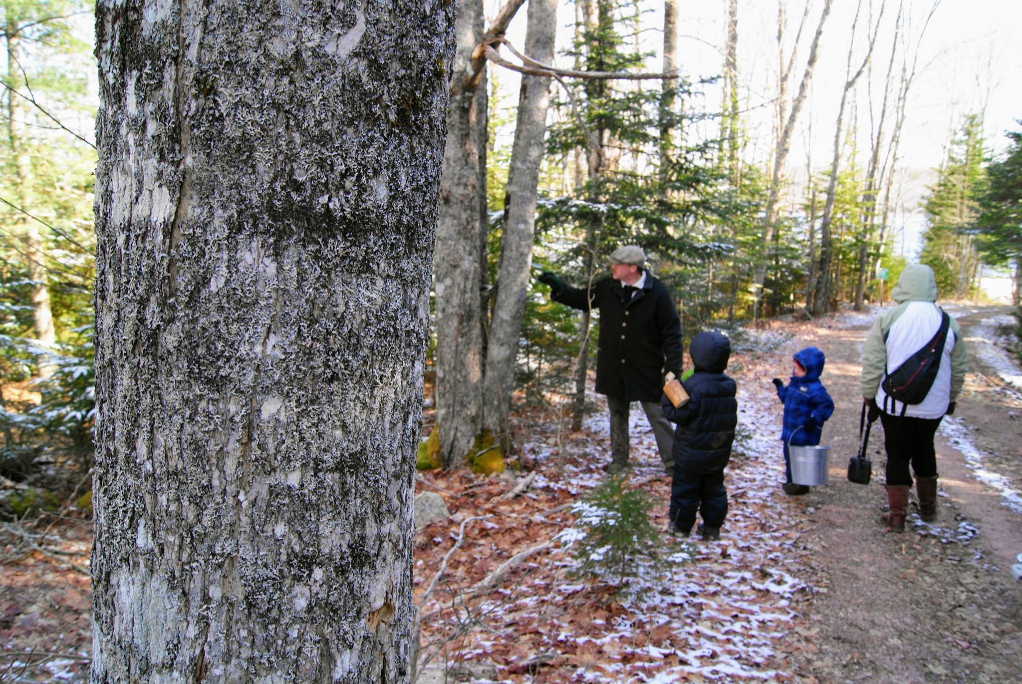 Ross Farm Maple Syrup