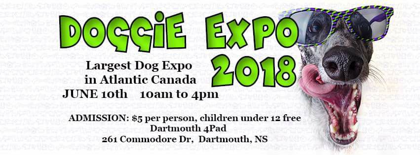 Doggie Expo