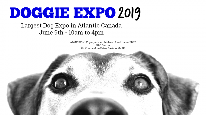 Doggie Expo