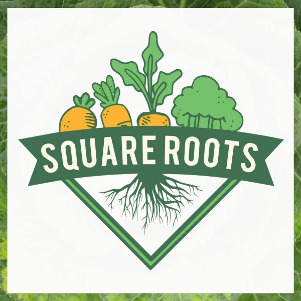 Square Roots