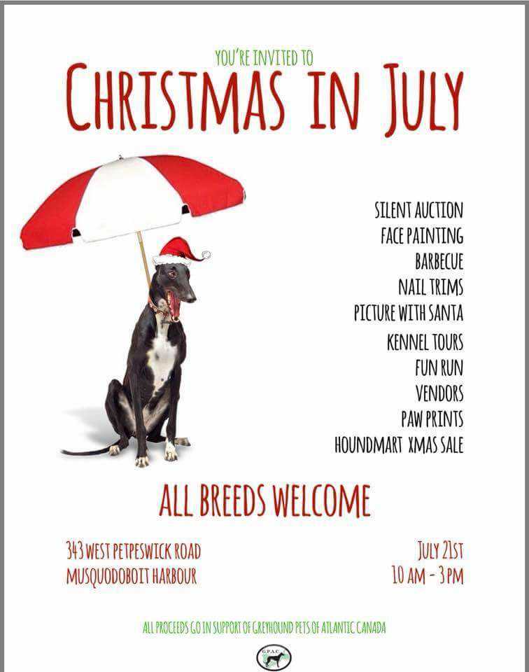 Christmas in July Dog Event