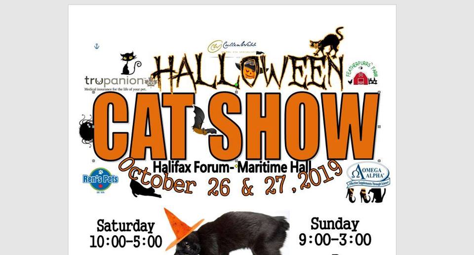 Cat Show