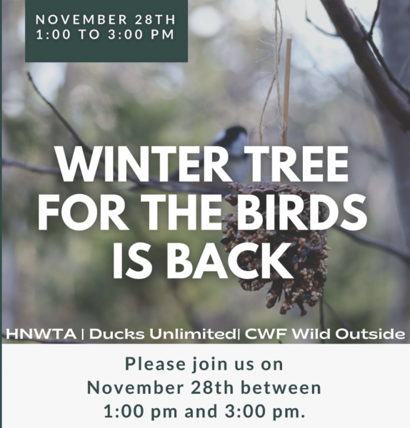 Winter Tree for the Birds