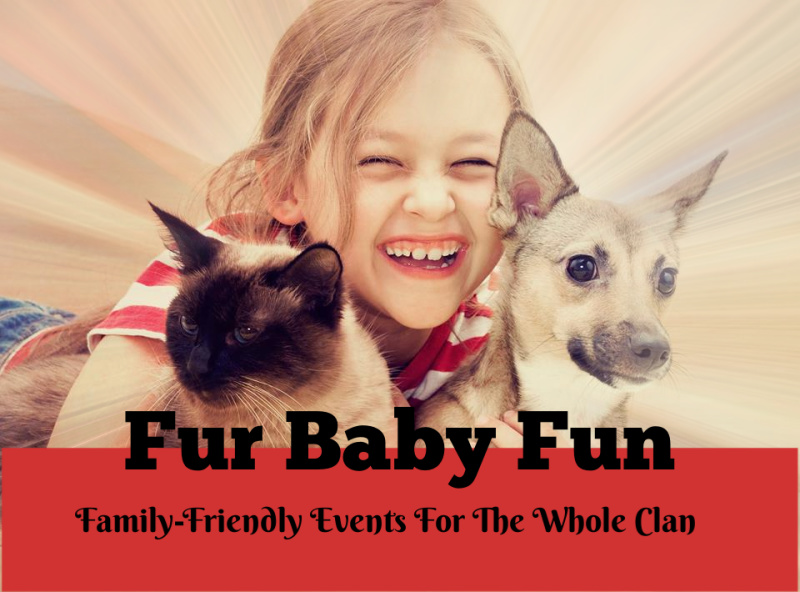 Fur Baby Fun