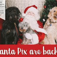 SPCA Père Noël Pix