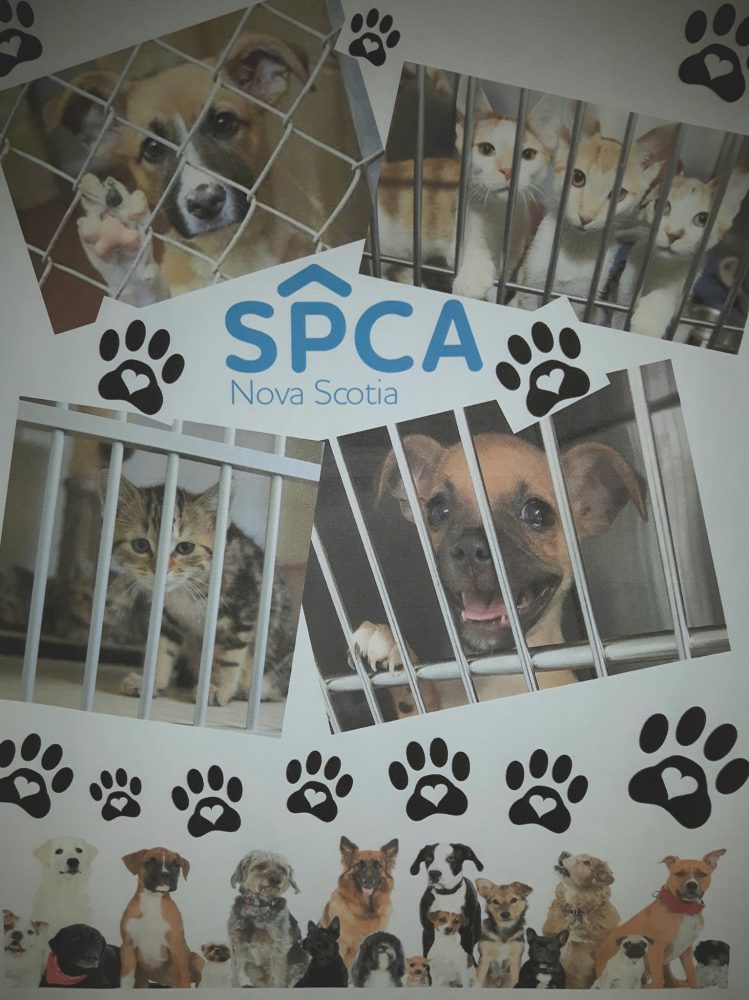 SPCA