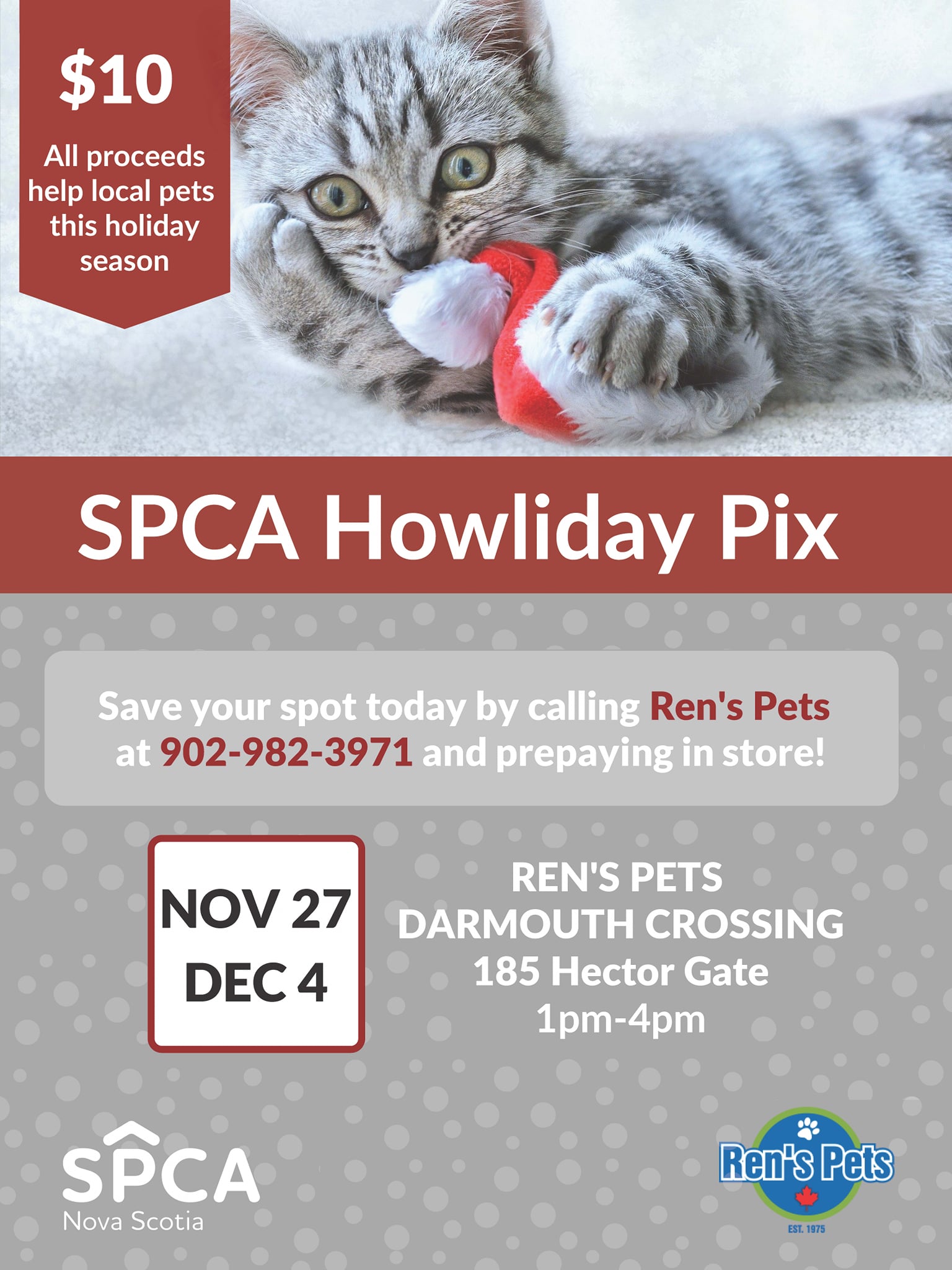 SPCA Pics