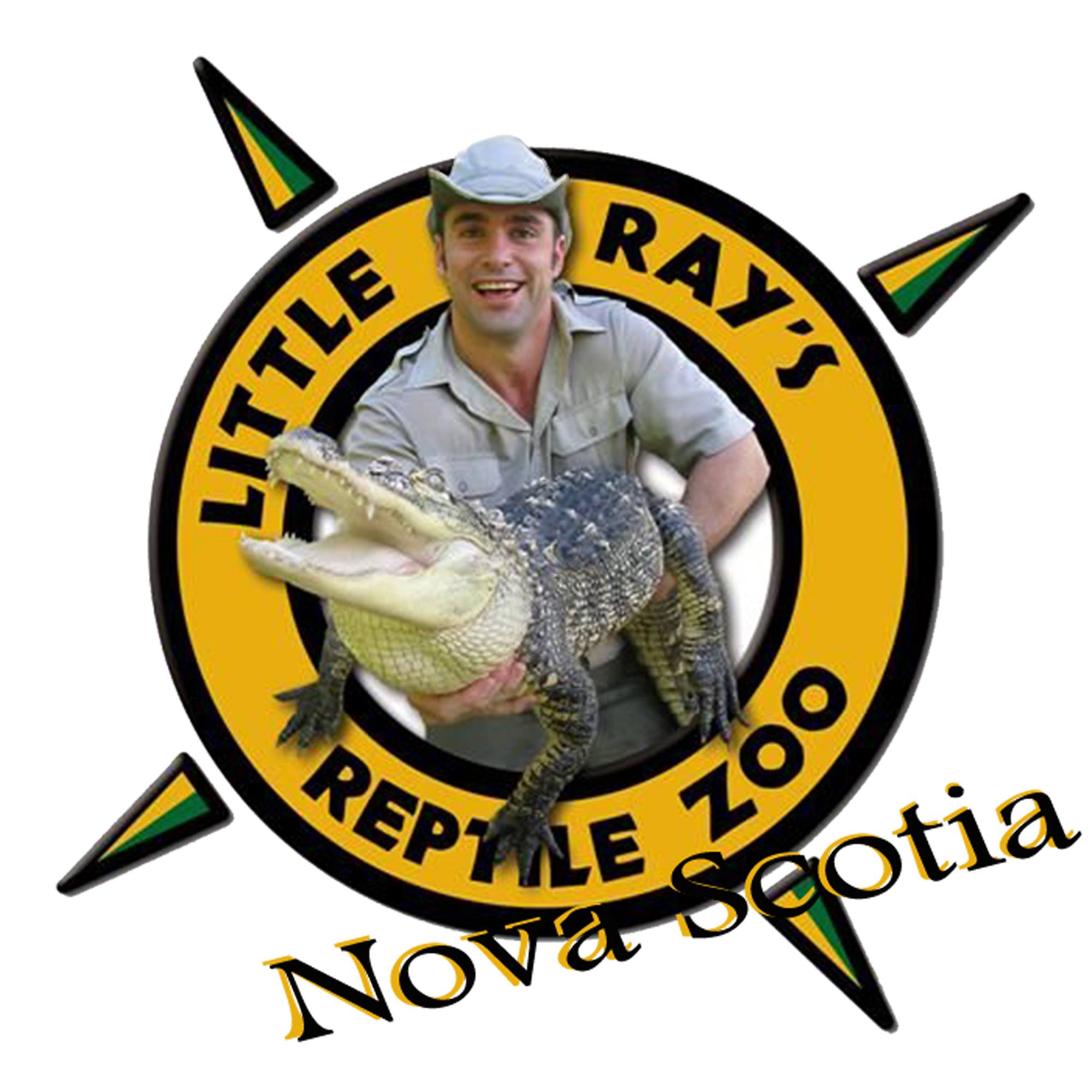 Little Ray's Reptile Zoo March Break at the Halifax Libraries