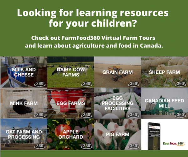 Farm Food 360