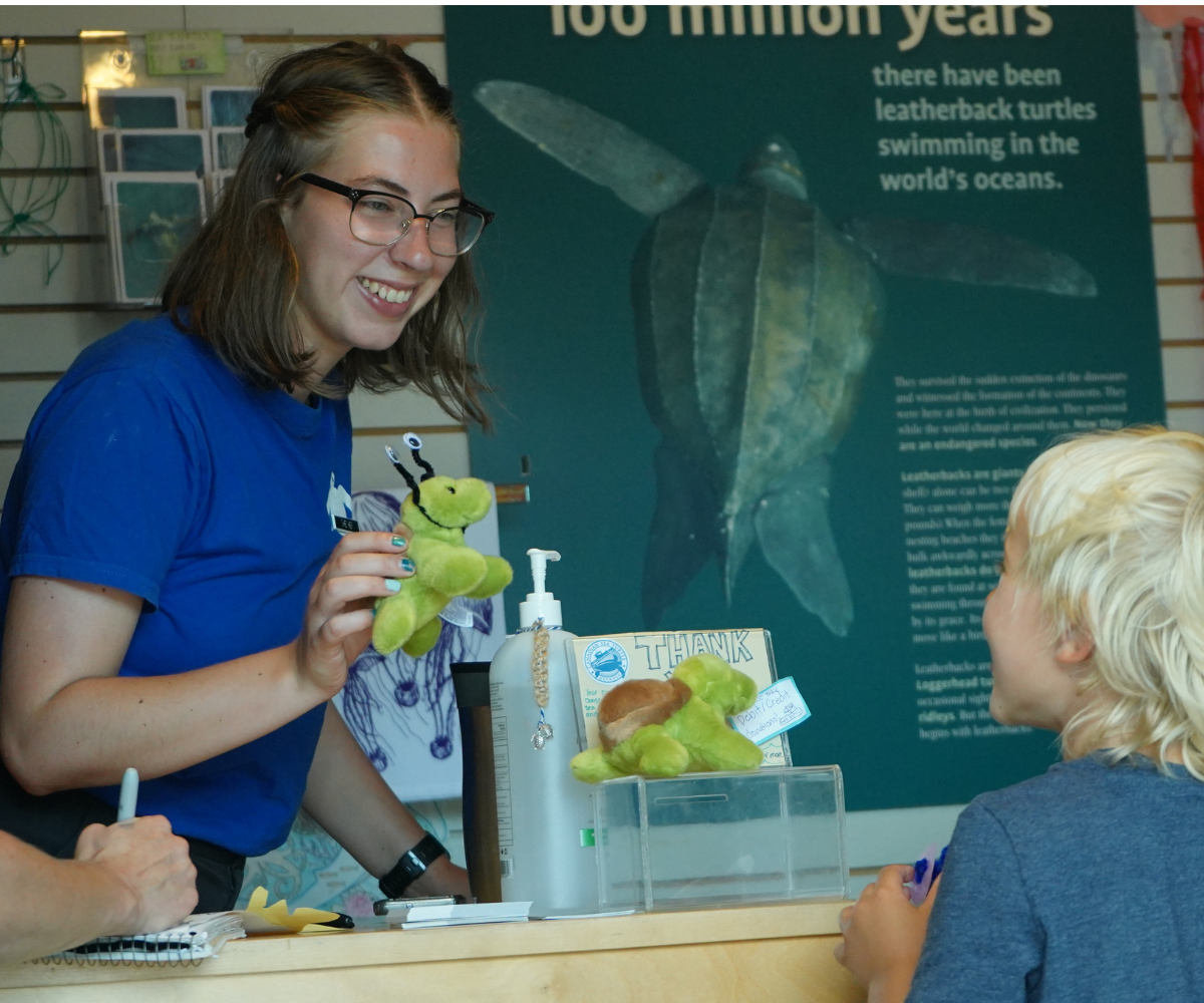 Canadian Sea Turtle Network Summer Camp