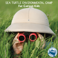 Canadian Sea Turtle Network Summer Camps