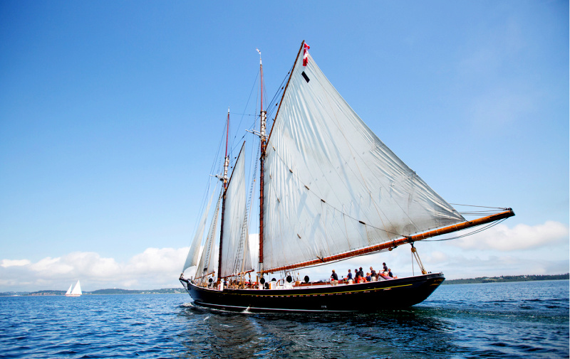 Où voir le Bluenose en 2020