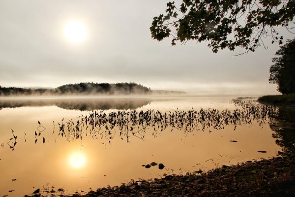 Morgen am Kejimkujik-See Foto Darcy Rhyno