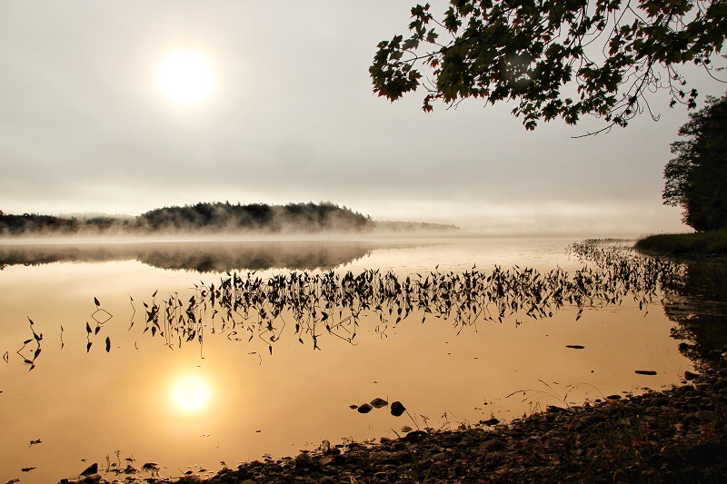 Manhã no Lago Kejimkujik Foto Darcy Rhyno