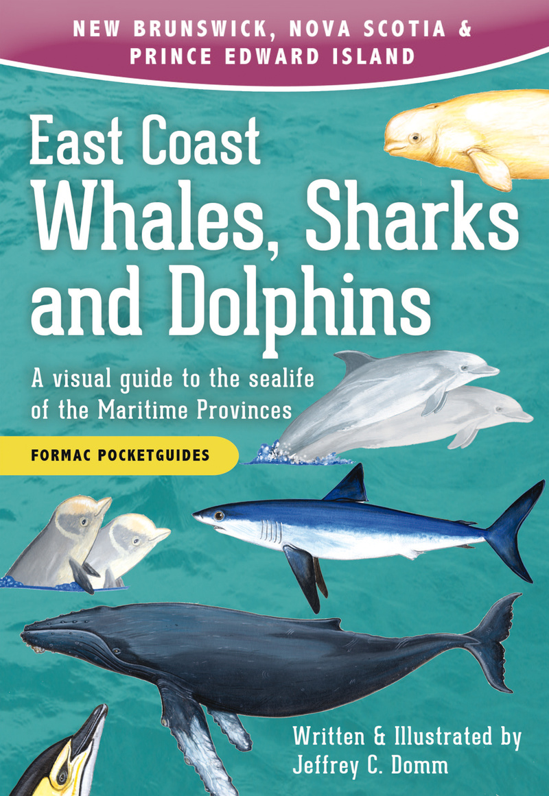 Book about Nova Scotia whales