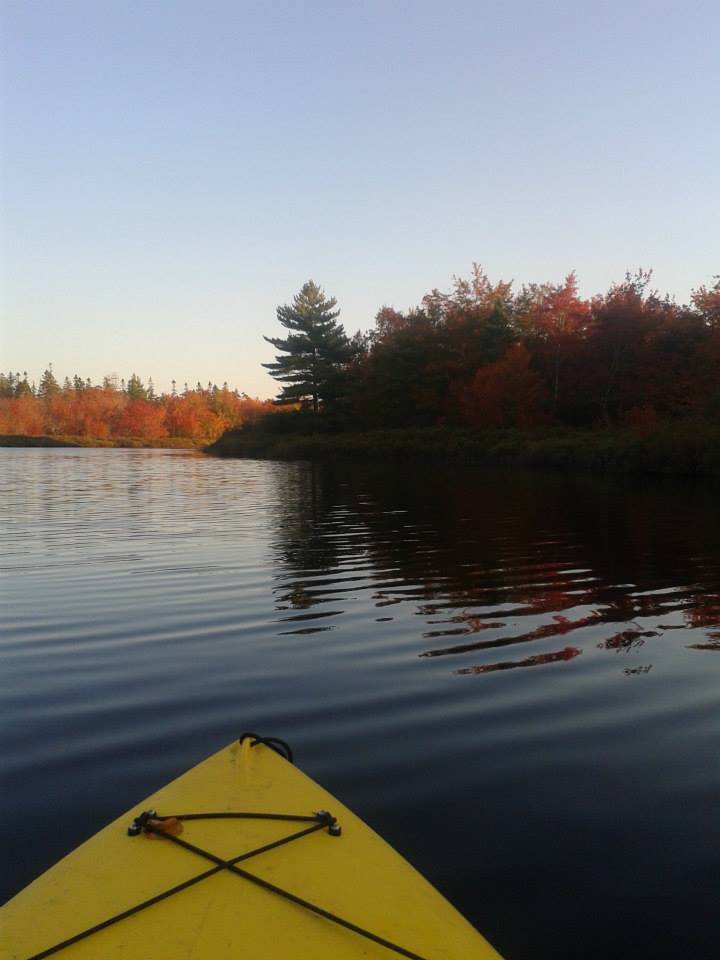 Koa Kayak