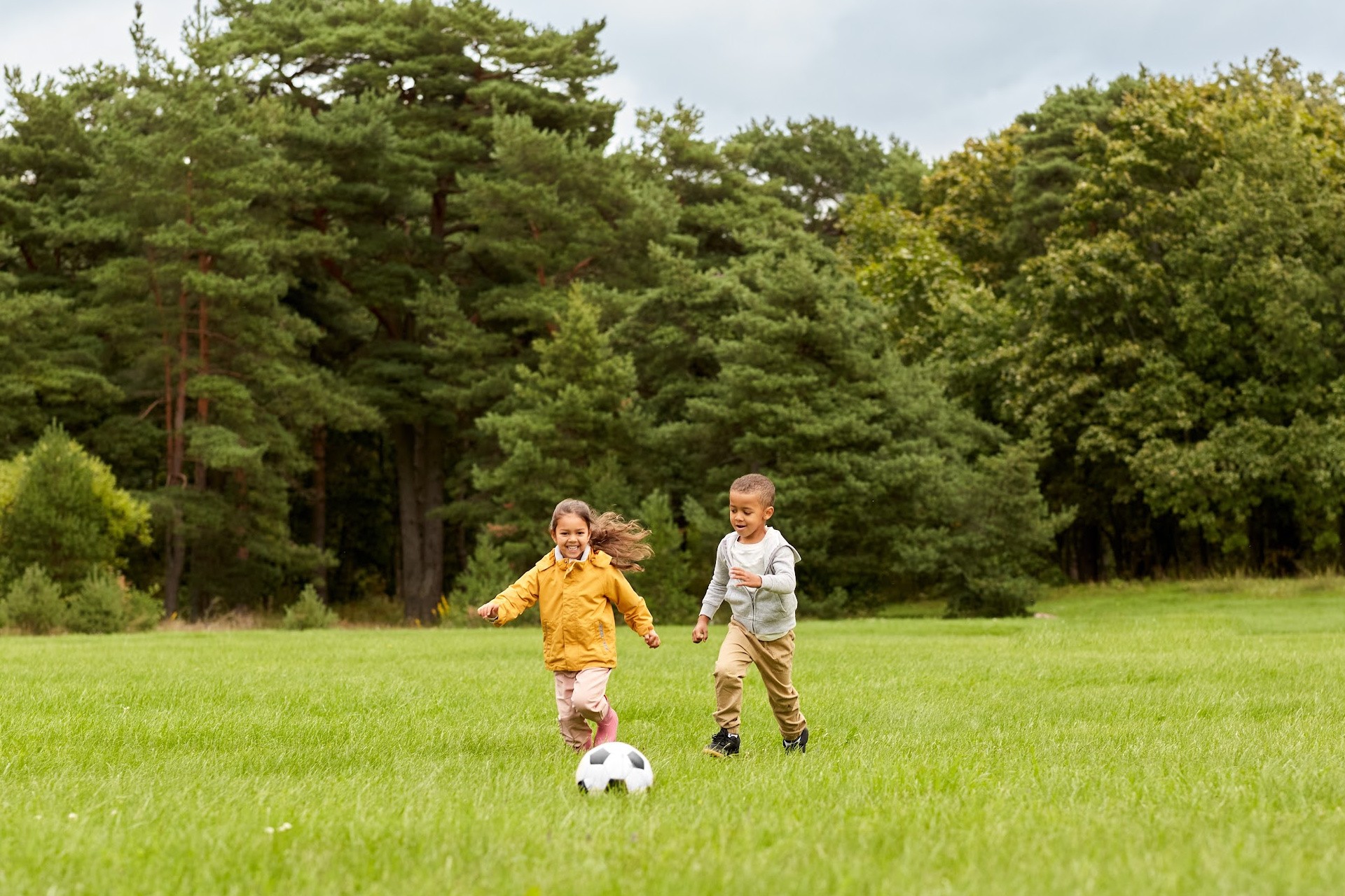 Programas de outono de Halifax REC