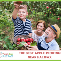 apple picking