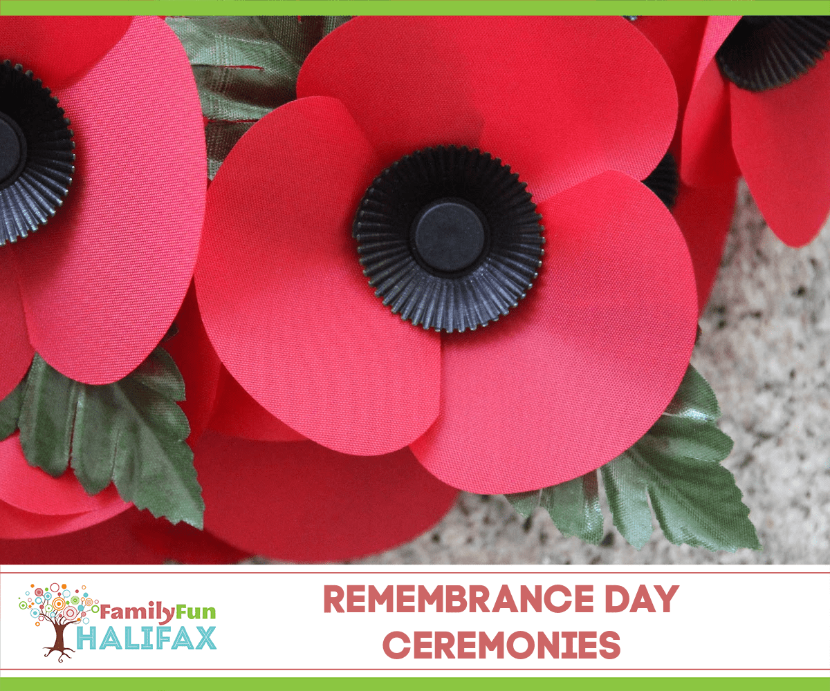 Remembrance Day Ceremonies (Family Fun Halifax)