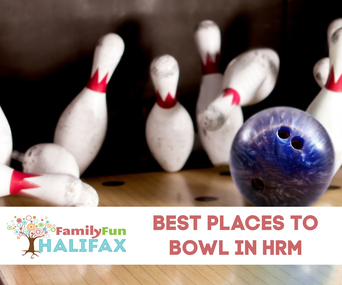 Family Fun Halifax