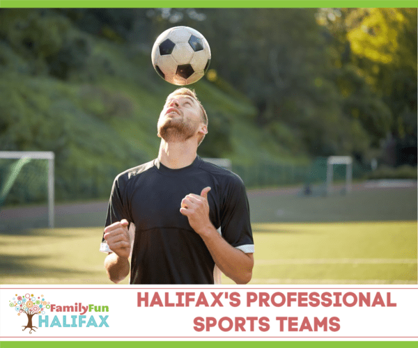 Équipes sportives professionnelles Halifax