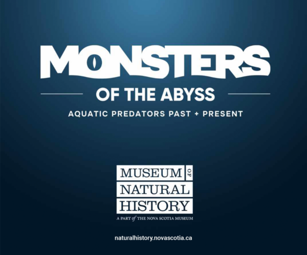 Monsters of the Abyss