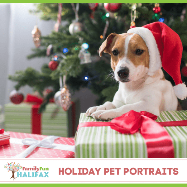 Pet Santa