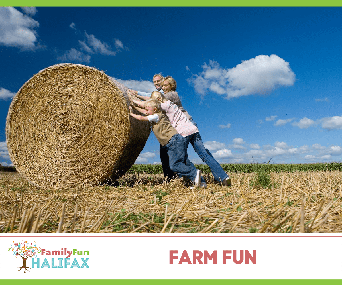 Farm Fun (Family Fun Halifax)