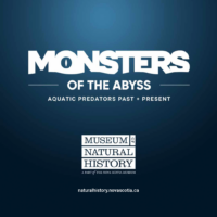 Monsters of the Abyss