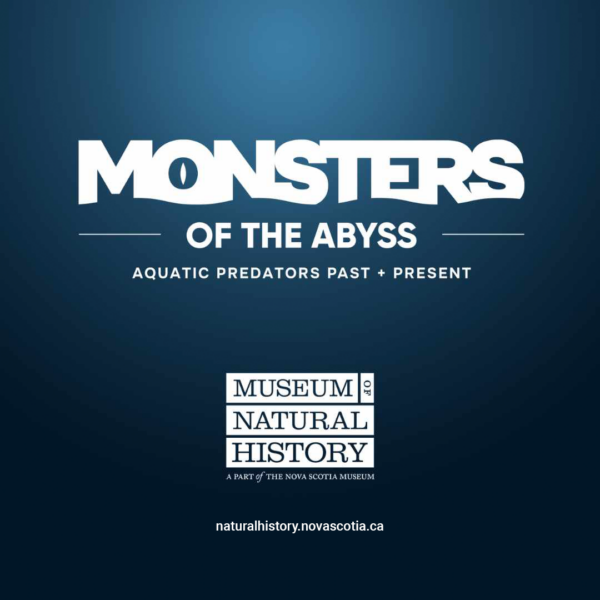 Monsters of the Abyss